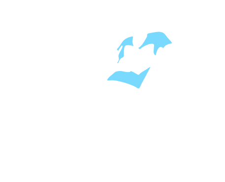 Person sitting and reading